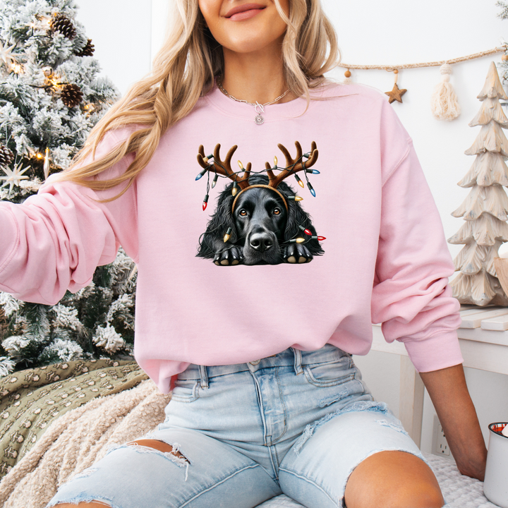 Weihnachts | Hundepullover mit Rentier-Motiv
