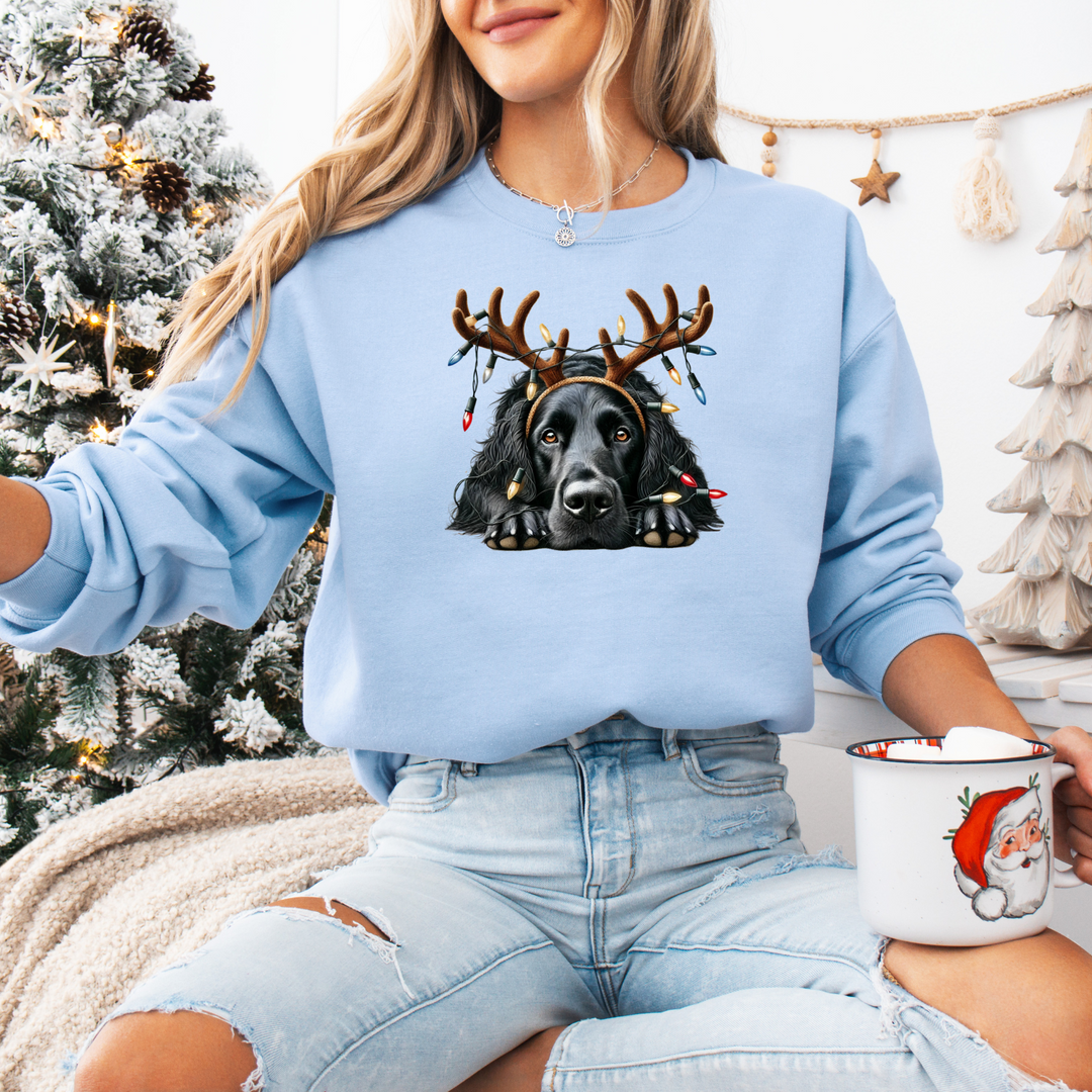 Weihnachts | Hundepullover mit Rentier-Motiv