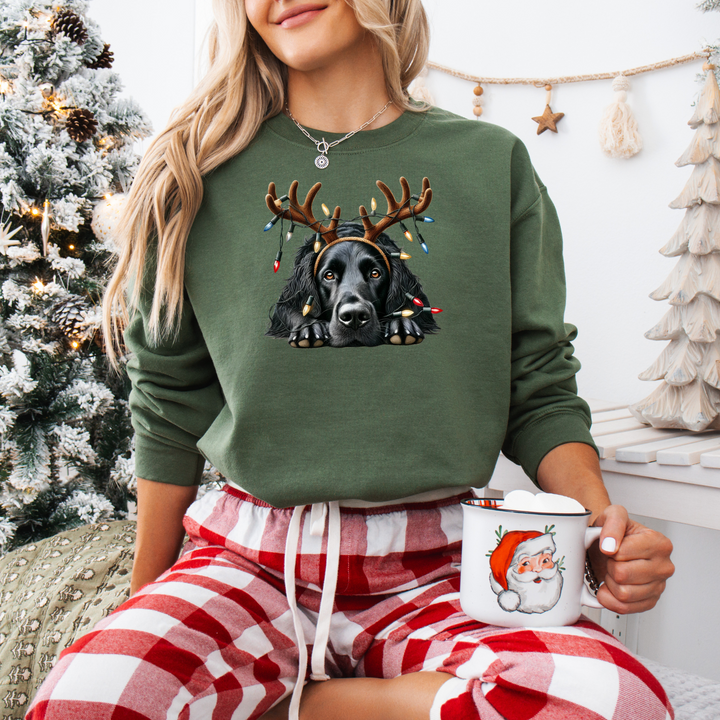 Weihnachts | Hundepullover mit Rentier-Motiv