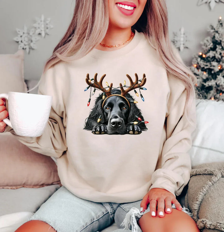 Weihnachts | Hundepullover mit Rentier-Motiv